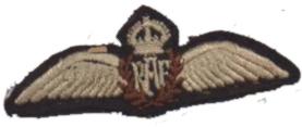 8th Airforce Badge